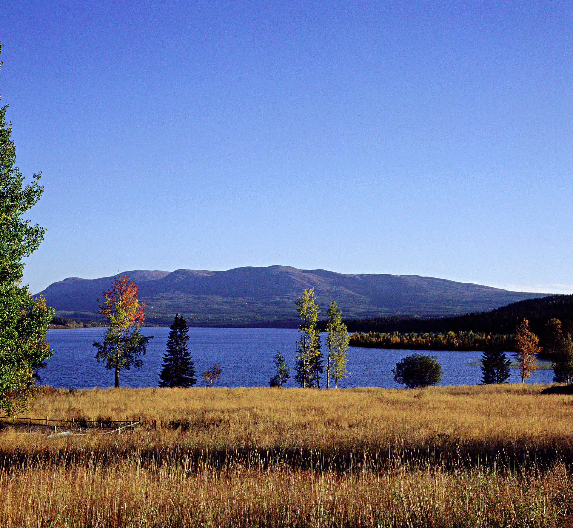 Morgondimma över en stilla fjällsjö i Sällsjö, Jämtland